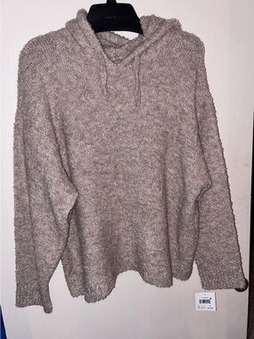 Falls Creek Plush Sherpa Hoodie in Taupe
